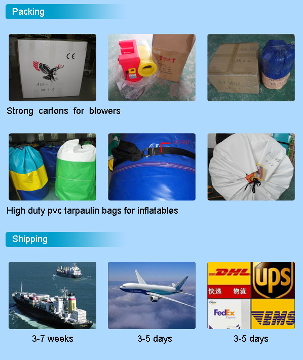 Glissière gonflable commerciale adaptée aux besoins du client de bateau de pirate pour des enfants